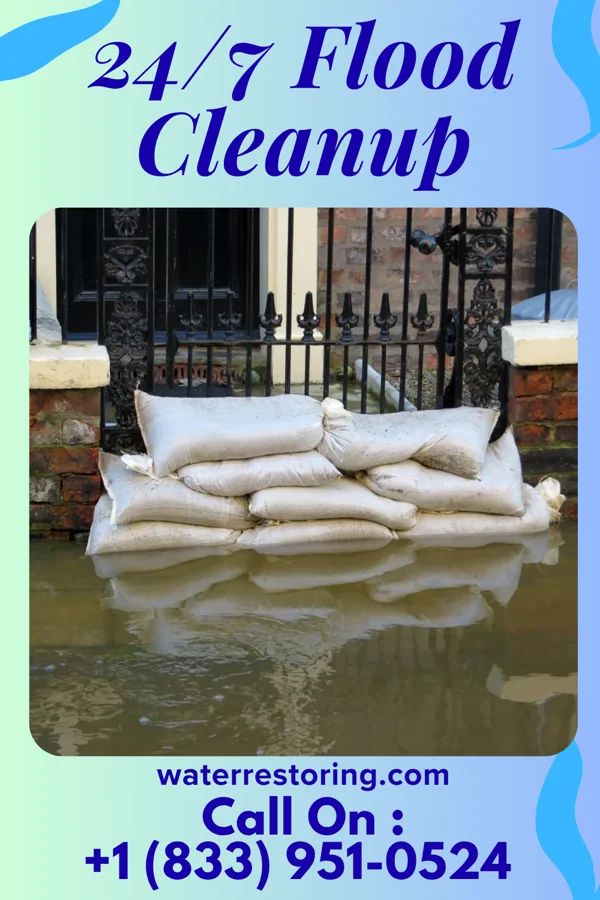 24/7 Flood Cleanup in Sabin, MN