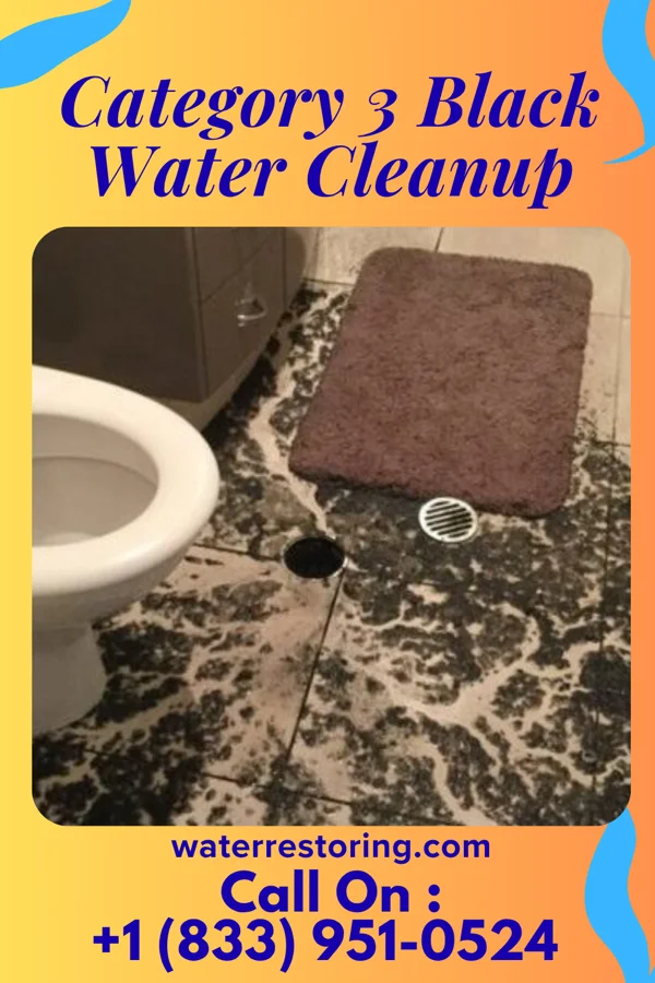 Category 3 Black Water Cleanup in Sabin, MN