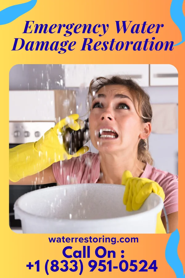 Emergency Water Damage Restoration in Sabin, MN