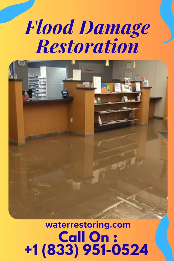 Flood Damage Restoration in Sabin, MN
