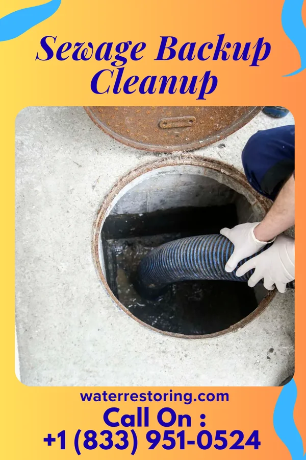 Sewage Backup Cleanup in Sabin, MN