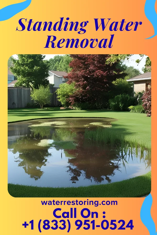 Standing Water Removal in Sabin, MN